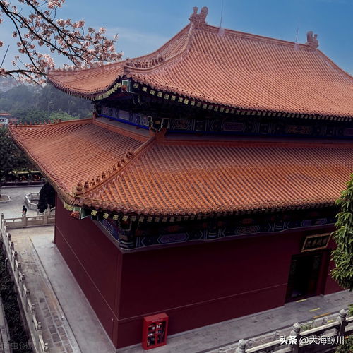 寺庙里的姻缘殿是什么:探秘寺庙里的姻缘殿,缘起于此,情系今生 寺庙里的姻缘殿是什么:探秘寺庙里的姻缘殿,缘起于此,情系今生