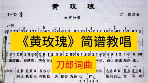 黄玫瑰歌词完整版（黄玫瑰歌词完整版刀郎）