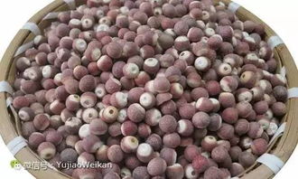 芡实一天吃多少颗好:芡实一天吃多少颗好?养生达人必看的黄金量! 芡实一天吃多少颗好:芡实一天吃多少颗好?养生达人必看的黄金量!