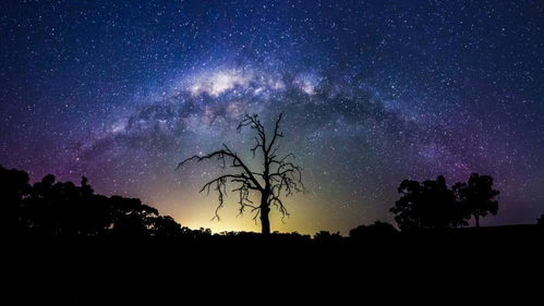 8月15号是什么星座星座:8月15日是什么星座?狮子座与处女座能量转换期的星座解析 8月15号是什么星座星座:8月15日是什么星座?狮子座与处女座能量转换期的星座解析