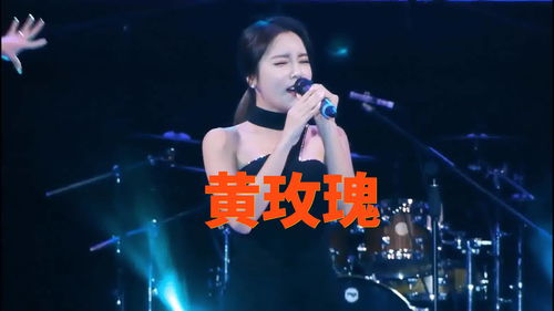 黄玫瑰歌词完整版（黄玫瑰歌曲歌词）