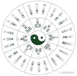 怎么查自己五行属于哪个：如何快速查询自己五行属性？三步自测法助你了解命理根基