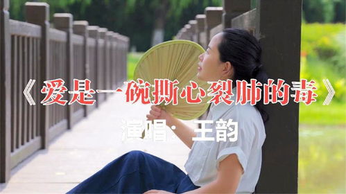 十大撕心裂肺伤感情歌（十大撕心裂肺伤感情歌原唱）