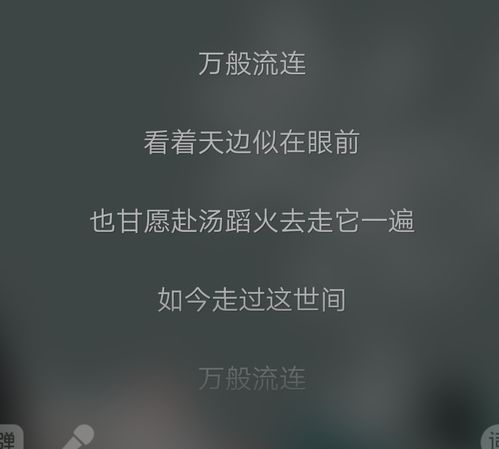 歌词（歌词起风了）