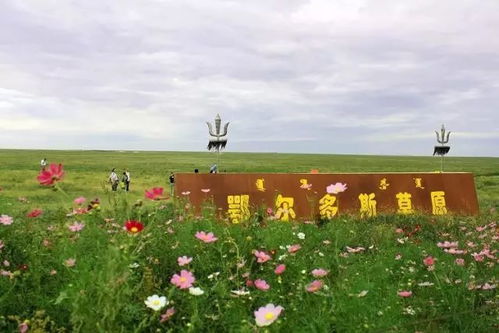 民歌大全100首老歌（草原民歌大全100首老歌）