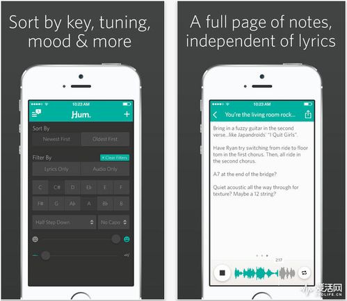 十大免费下载音乐app（十大免费下载音乐app苹果手机）