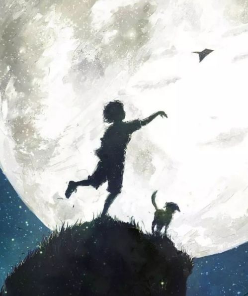 双子男性格全面解析:双面魅力与灵魂共振,解码双子男的矛盾美学与成长密码 双子男性格全面解析:双面魅力与灵魂共振,解码双子男的矛盾美学与成长密码