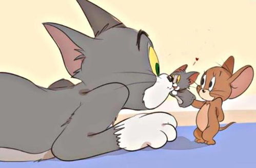 猫和老鼠动画片免费观看(猫和老鼠动画片免费观看中文版全集) 猫和老鼠动画片免费观看(猫和老鼠动画片免费观看中文版全集)
