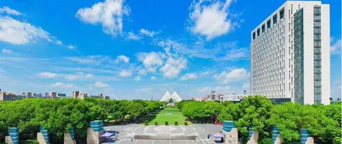 上海工程技术大学(上海工程技术大学2025录取分数) 上海工程技术大学(上海工程技术大学2025录取分数)