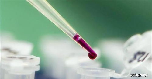 早早孕多长时间能测出来:早早孕多长时间能测出来?一次看懂检测时间与方法! 早早孕多长时间能测出来:早早孕多长时间能测出来?一次看懂检测时间与方法!