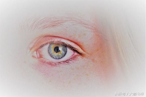 左上眼皮跳是凶是吉：左上眼皮跳是凶是吉？传统文化与现代科学的科学解读