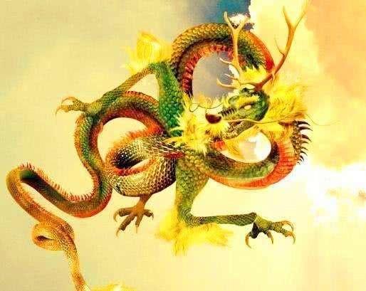 88年属龙的属相婚配表:88年属龙人专属婚配指南,黄金组合与避雷属相全解析 88年属龙的属相婚配表:88年属龙人专属婚配指南,黄金组合与避雷属相全解析