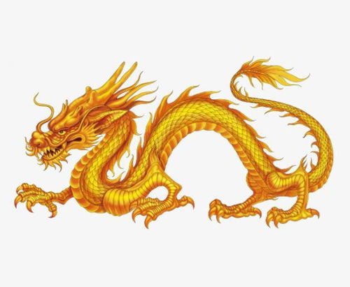 88年属龙的属相婚配表:88年属龙人专属婚配指南,黄金组合与避雷属相全解析 88年属龙的属相婚配表:88年属龙人专属婚配指南,黄金组合与避雷属相全解析