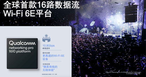 9月16日是什么纪念日:9月16日,被遗忘的全球纪念日大揭秘 9月16日是什么纪念日:9月16日,被遗忘的全球纪念日大揭秘