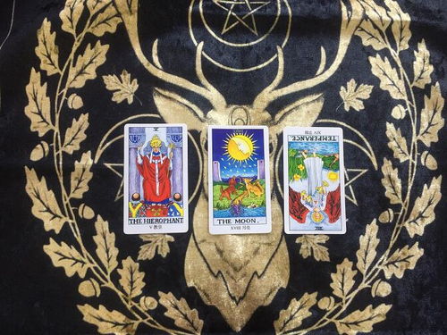 林果塔罗牌:林果塔罗牌,自然之力与心灵对话 林果塔罗牌:林果塔罗牌,自然之力与心灵对话