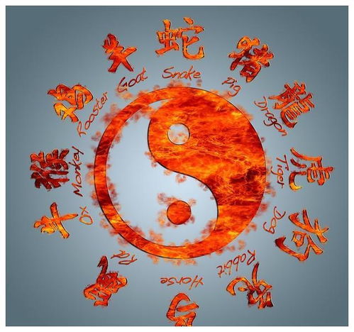 2022年水虎命缺什么：2022年水虎命缺水？属虎人化解五行缺失的三大黄金法则