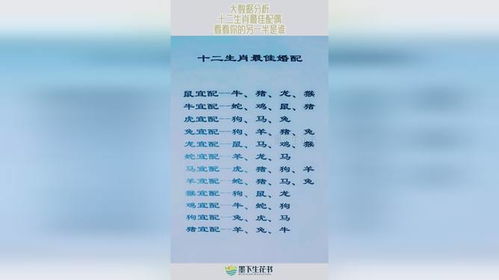 十二属相最佳配偶：十二生肖最佳配偶配对指南，传统智慧与现代情感的完美融合