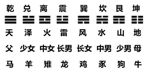 我想算一卦免费:免费算卦真的靠谱吗?三步教你辨别真伪,解锁隐藏运势 我想算一卦免费:免费算卦真的靠谱吗?三步教你辨别真伪,解锁隐藏运势