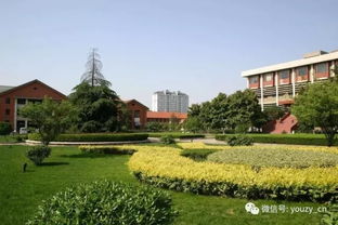 安徽理工大学(安徽理工大学是211吗) 安徽理工大学(安徽理工大学是211吗)