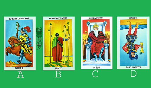 塔罗牌npd:塔罗牌揭示自恋型人格障碍的心理机制 塔罗牌npd:塔罗牌揭示自恋型人格障碍的心理机制