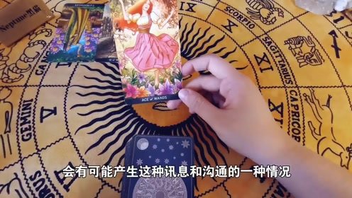 黑猫 塔罗牌:1.黑猫与塔罗,命运交织的神秘符号 黑猫 塔罗牌:1.黑猫与塔罗,命运交织的神秘符号