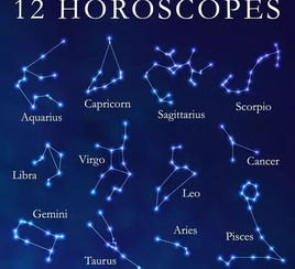 十二星座代表的12种动物:十二星座与十二种动物,星辰之灵的动物图腾密码 十二星座代表的12种动物:十二星座与十二种动物,星辰之灵的动物图腾密码