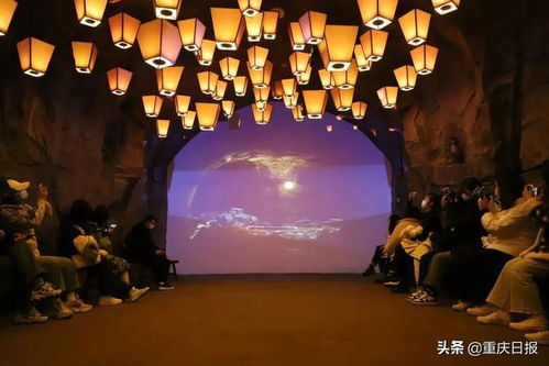 十二月六号哀悼：十二月六日，以哀思之名，向历史与未来致敬