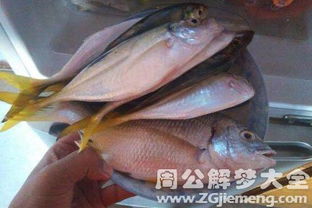 周公解梦梦见抓到鱼：梦见抓到鱼，周公解梦与现代心理的双重解读