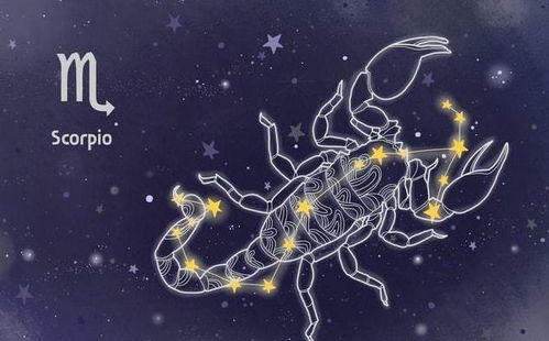 星座运势查询2021年天蝎座:2021年天蝎座运势全息解读,暗夜猎手的蜕变之路 星座运势查询2021年天蝎座:2021年天蝎座运势全息解读,暗夜猎手的蜕变之路