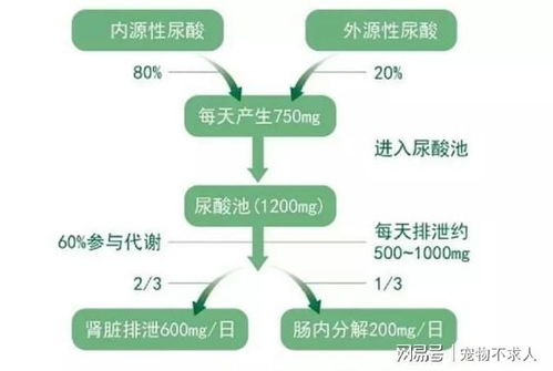 尿酸高是什么原因:尿酸高是什么原因?全面解析体内痛点的成因 尿酸高是什么原因:尿酸高是什么原因?全面解析体内痛点的成因