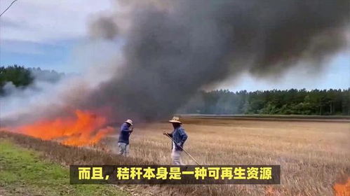 梦见打井是怎么回事：解密梦境，梦见打井背后的深意