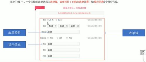 html中label标签的用法:HTML中label标签的用法详解 html中label标签的用法:HTML中label标签的用法详解