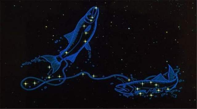 紫微星座运势查询双鱼座：双鱼座紫微星座运势查询，浪漫与直觉的完美指引