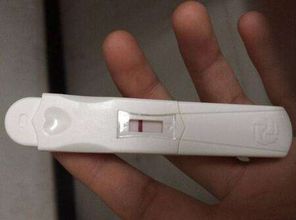 测不出怀孕又不来例假：原来不是没怀孕！月经不来测孕又显示阴性，这些原因要知道
