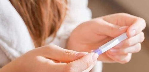 月经感和怀孕感的区别：月经与怀孕的身体信号，如何辨别两者感受