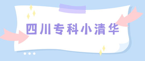 四川公办专科学校（四川公办专科学校排名）