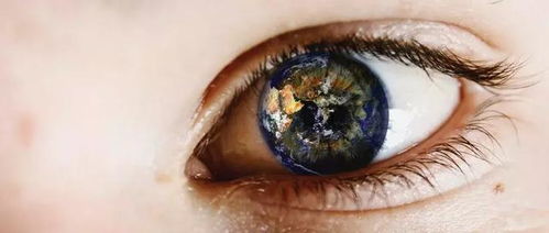 飞蚊症怎么治疗恢复：飞蚊症困扰视力？了解治疗与恢复，重获清晰视界