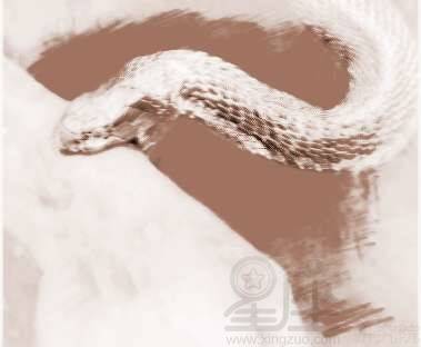 梦见大蟒蛇是什么预兆：梦见大蟒蛇，从心理学到文化符号的多维解读