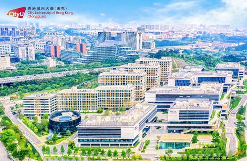 东莞城市学院(东莞城市学院官网) 东莞城市学院(东莞城市学院官网)