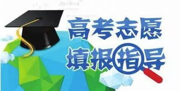 300到400分可以报考的学校(2025单招政策最新消息公布) 300到400分可以报考的学校(2025单招政策最新消息公布)