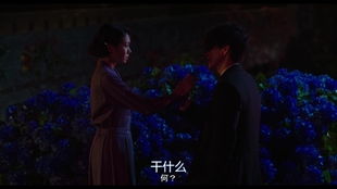 人间天上得期亨姻缘:人间天上得期亨姻缘,一场跨越时空的浪漫约定 人间天上得期亨姻缘:人间天上得期亨姻缘,一场跨越时空的浪漫约定