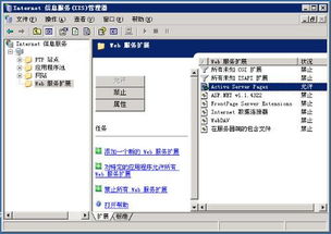 什么是asp文件:ASP文件,初学者指南 什么是asp文件:ASP文件,初学者指南