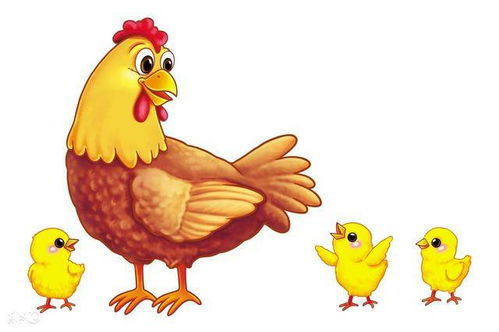 属鸡的命里几个儿子:属鸡人命里几个儿子,传统命理与现代家庭的平衡之道 属鸡的命里几个儿子:属鸡人命里几个儿子,传统命理与现代家庭的平衡之道