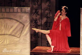 关于潘金莲外传的信息 关于潘金莲外传的信息