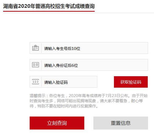 湖南招生考试信息网官网(湖南招生教育考试院官网) 湖南招生考试信息网官网(湖南招生教育考试院官网)