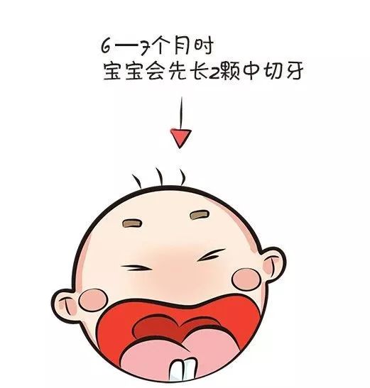 下牙掉了一半预示着什么：下牙掉了一半，健康警示还是命运暗示？