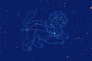 7月是什么星座的人：7月生日的人属哪个星座？巨蟹座与狮子座的灵魂特质全解析