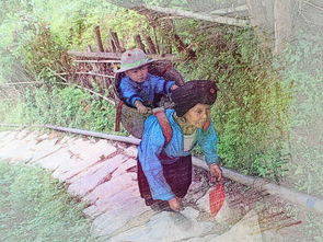 梦见和别人一起上山：梦见和别人一起上山