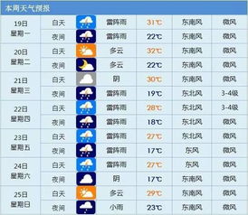 腾讯星座2024星座运势：腾讯星座2024运势前瞻，精准预测你的关键转折点，这份指南助你把握机遇