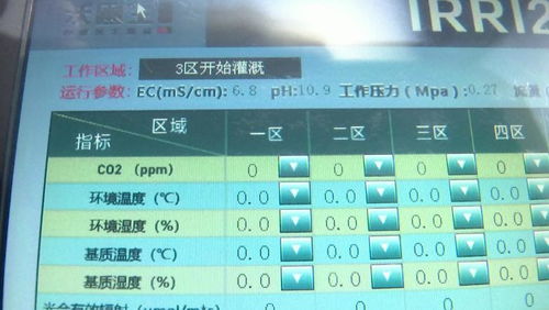 搬家吉日测算免费：免费搬家吉日测算指南，传统智慧与科学方法助您择吉搬家